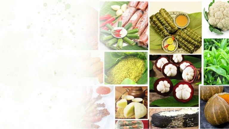 Sản phẩm OCOP: Mỗi Xã một sản phẩm – chìa khóa phát triển kinh tế nông thôn