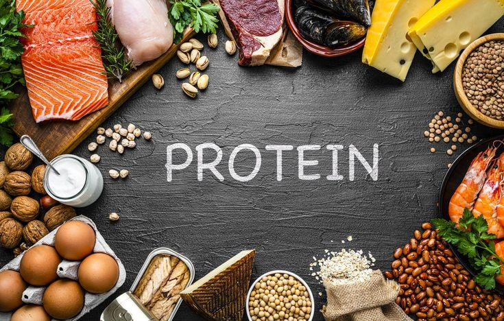 Protein là trợ thủ đắc lực. 