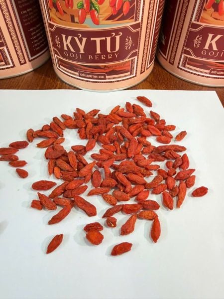 Kỷ tử MEDINA 350G - Hình ảnh 4